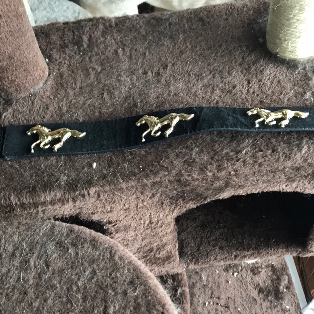Gold Black Horse Belt